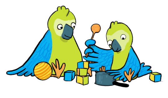 Peep parrots playing