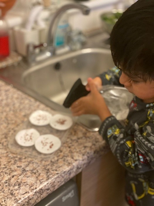 Young boy watering his cress seeds (STEM)