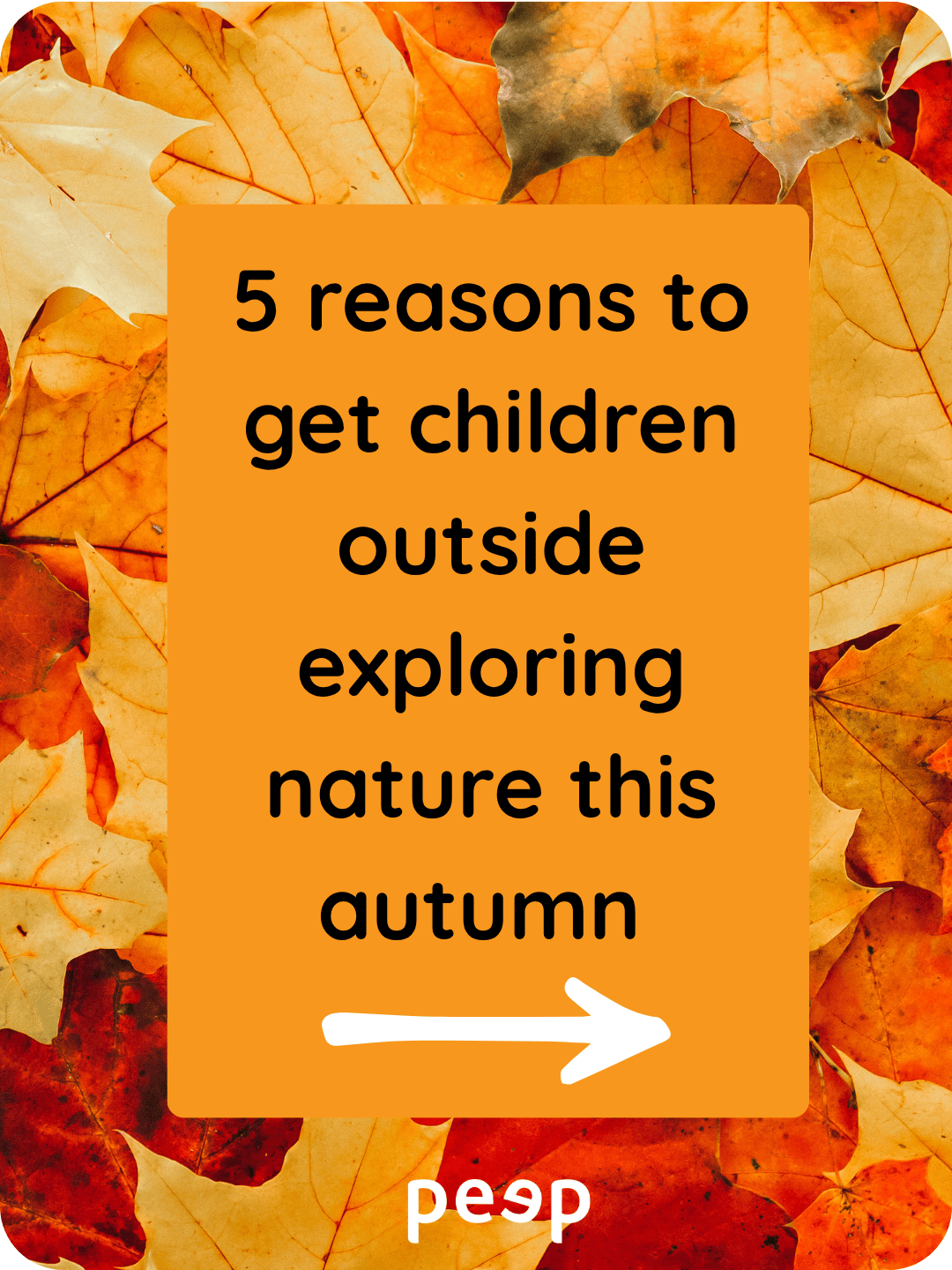 Autumn - 5 reasons to get outside